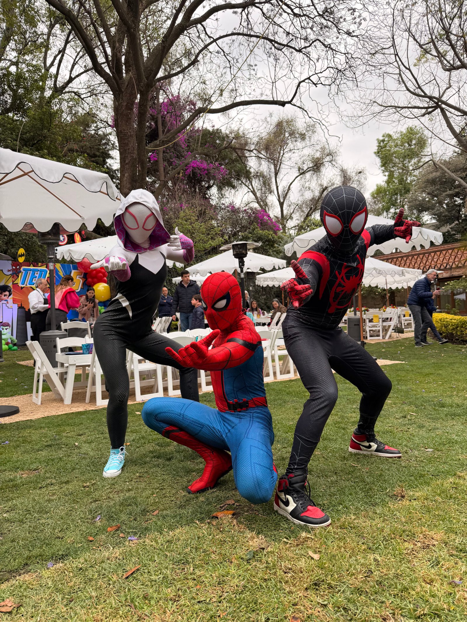 Actores Profesionales